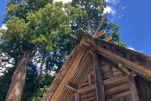 24754759_s-e1747376519323