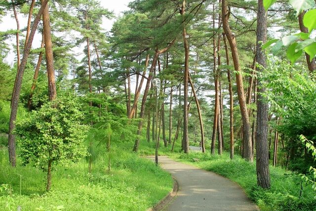 25454154_s-e1747376415553