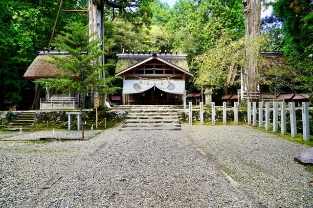 31228153_s-e1747376328575