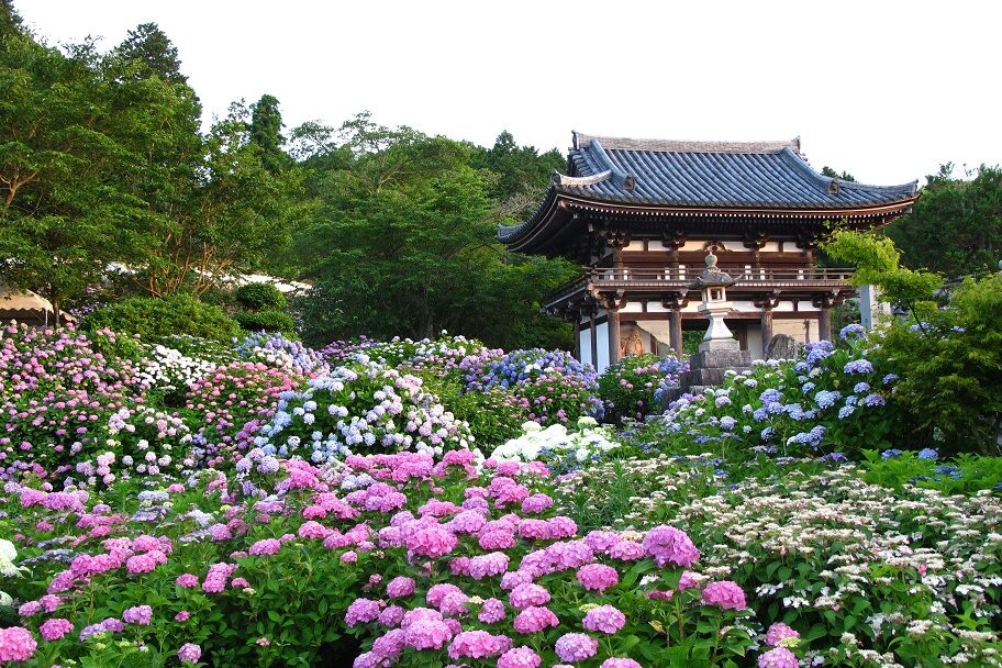 SP101_1-e1747376262313